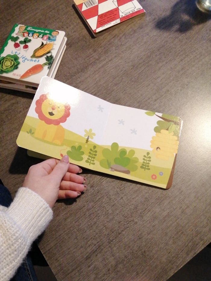 Livre - photo numéro 4