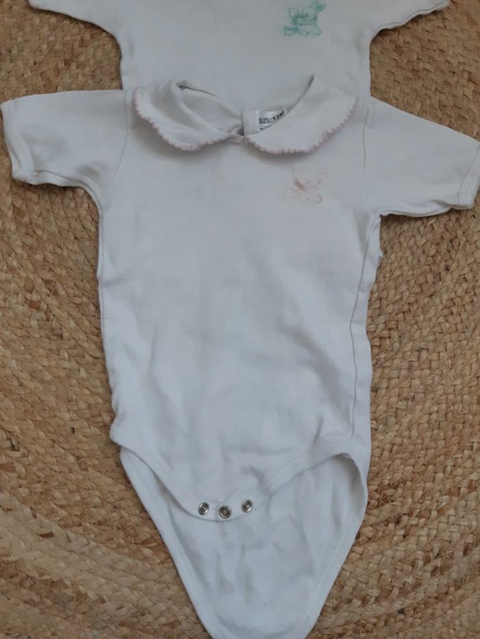 Lot de 2 bodies manches courtes 12 mois - photo numéro 2