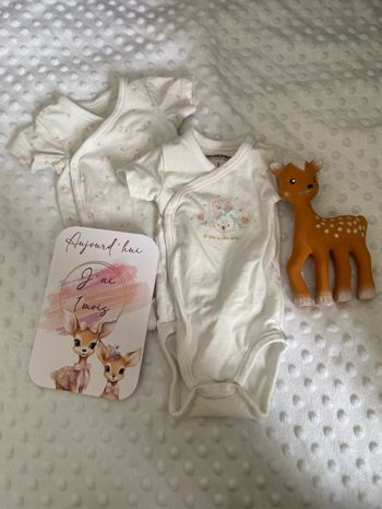 Lot 2 bodies