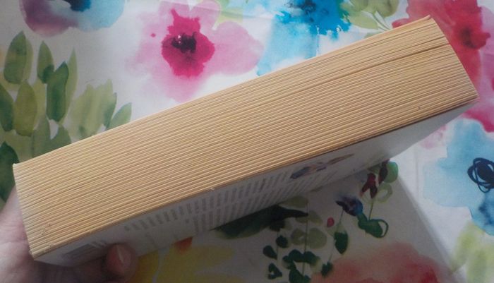 Stiletto blues à Hollywood de Lauren Weisberger Ed. Fleuve Noir - photo numéro 4