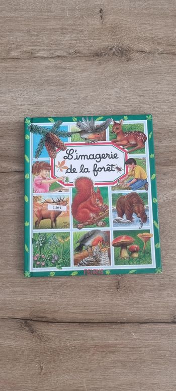 L'imagerie de la forêt neuf