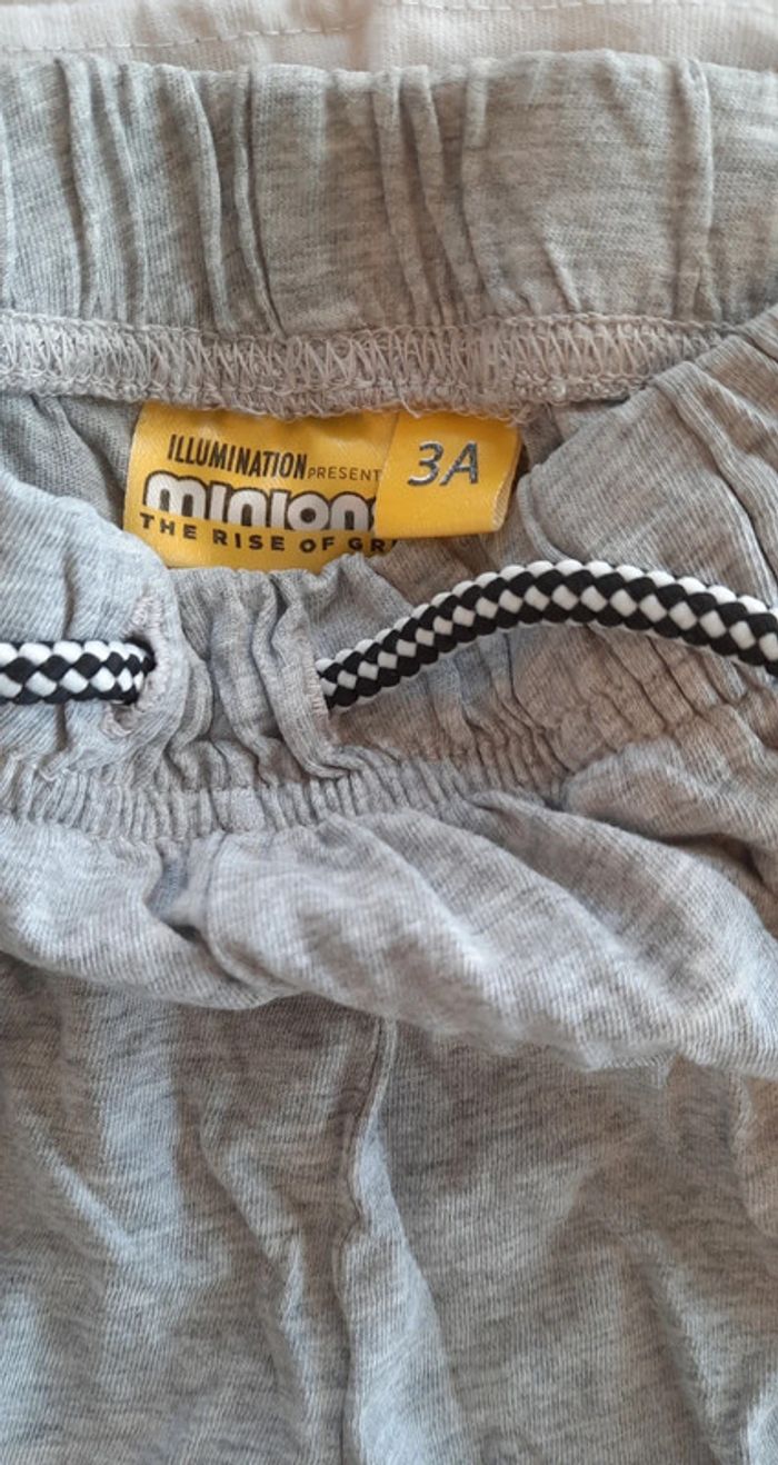 Ensemble minions - photo numéro 4