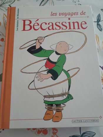 Becassine voyage
