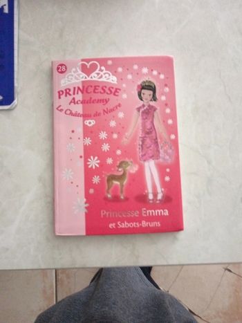 Livre princesse Académy