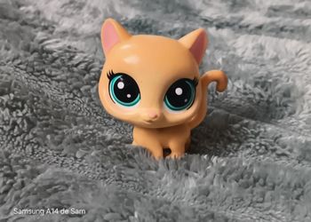 Petshop chat 277
