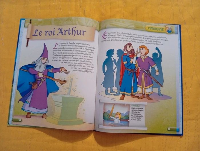 Lot de 3 livres Playmobil thèmes historiques - photo numéro 19