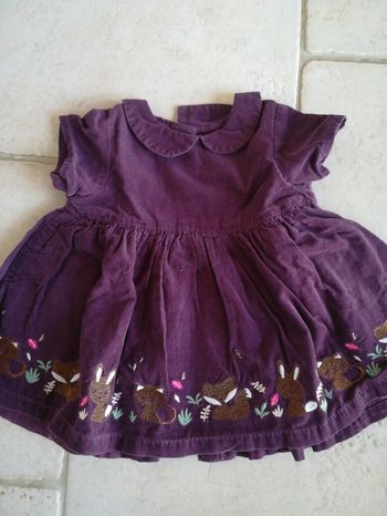 Robe petit velour