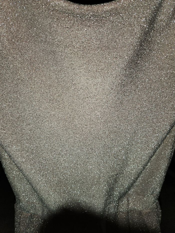 Robe  brillante - photo numéro 2