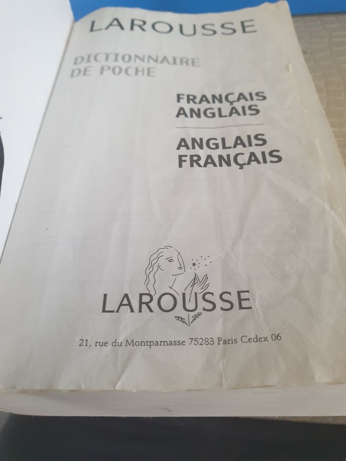 Dictionnaire de piche français anglais larousse - photo numéro 4