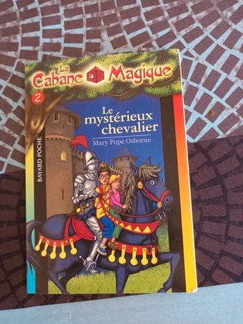 Livre le mystérieux chevalier