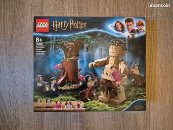 NEUF Boite de Lego 75967 Harry Potter : La Forêt Interdite : le rencontre d'Ombrage