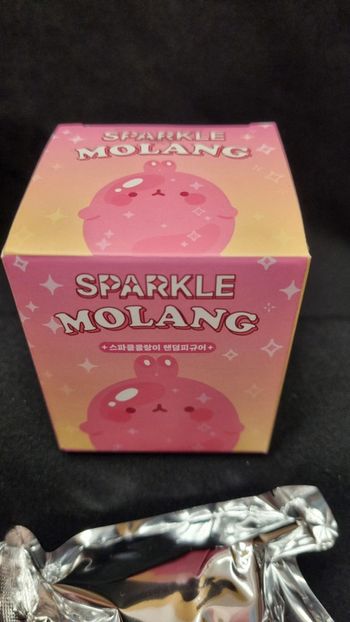 Blind Box Molang Edition Sparkle - Corée du Sud