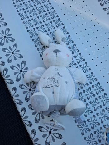 Doudou musical 