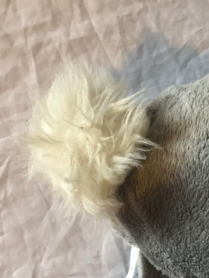 Petit Lapin Gris Saut Bouche Ouverte Animal Faune Peluche Petits Enfants Bébés - photo numéro 7