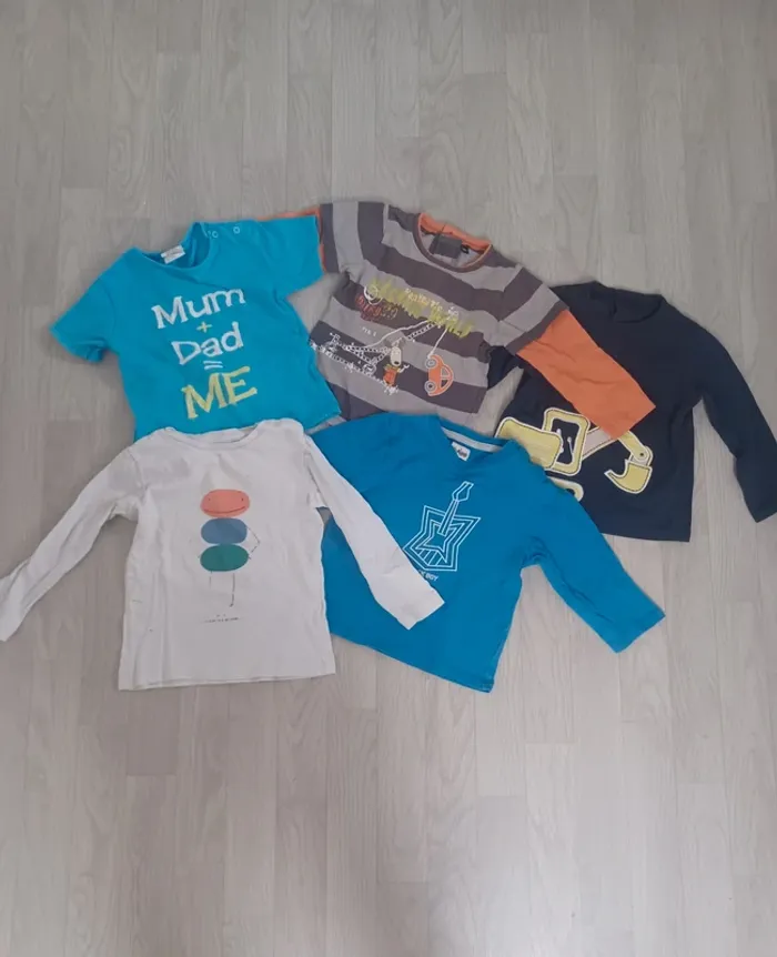 Lot petit pull et 1 t-shirt garçon 18 mois