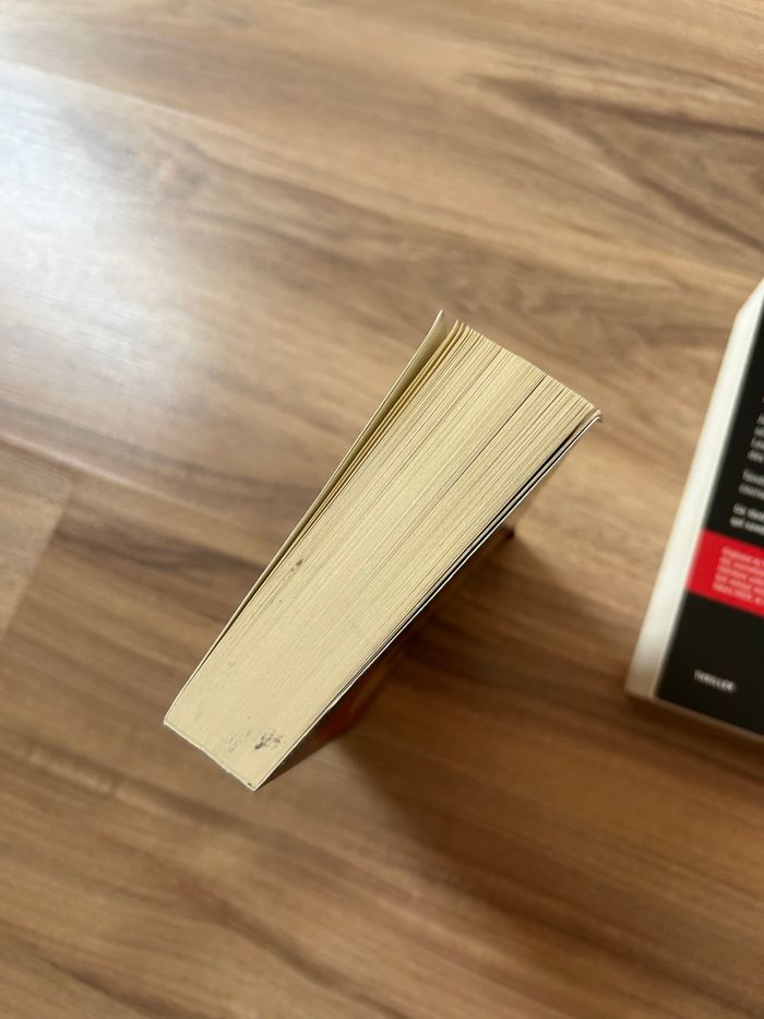 Lot de 2 livres Thriller / Roman Noir - photo numéro 6