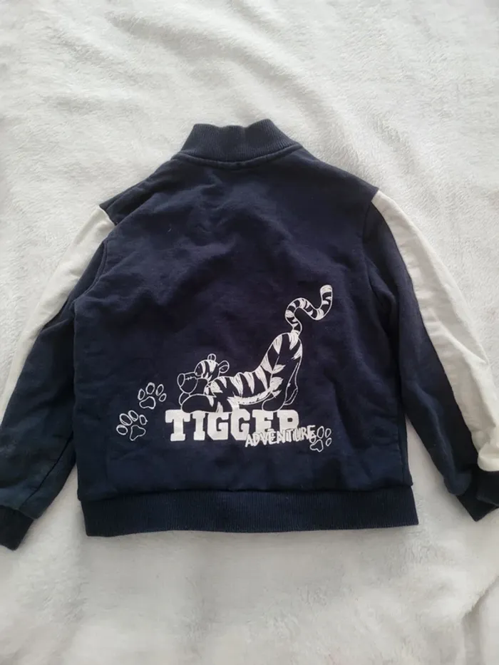 Gilet tigrou - photo numéro 2