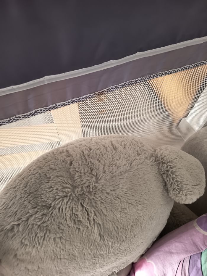 Parc xxl - photo numéro 3