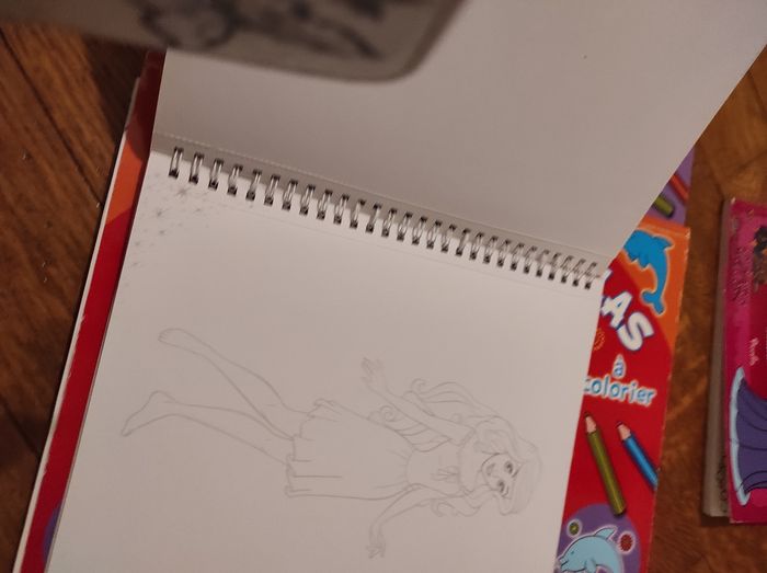 Lot livres d'activités fille mandalas - photo numéro 7