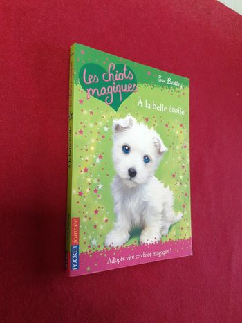 Les chiots magiques tome 6 " À la belle étoile "
