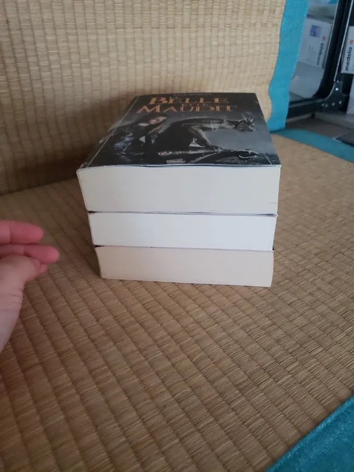 La Belle et le Maudit 3 tomes - photo numéro 6