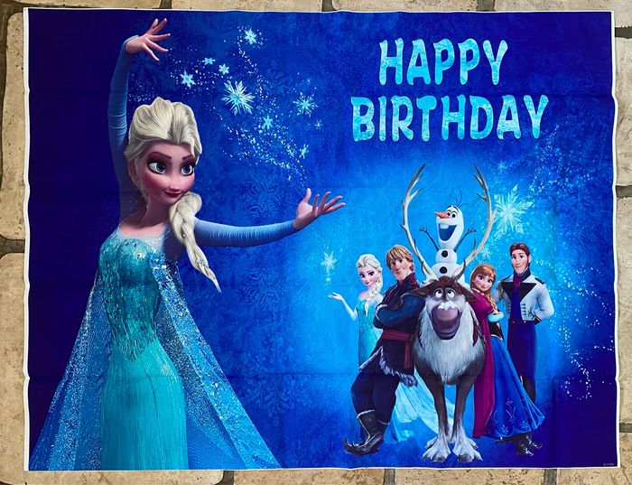 Décorations reine des neiges - Frozen - photo numéro 2