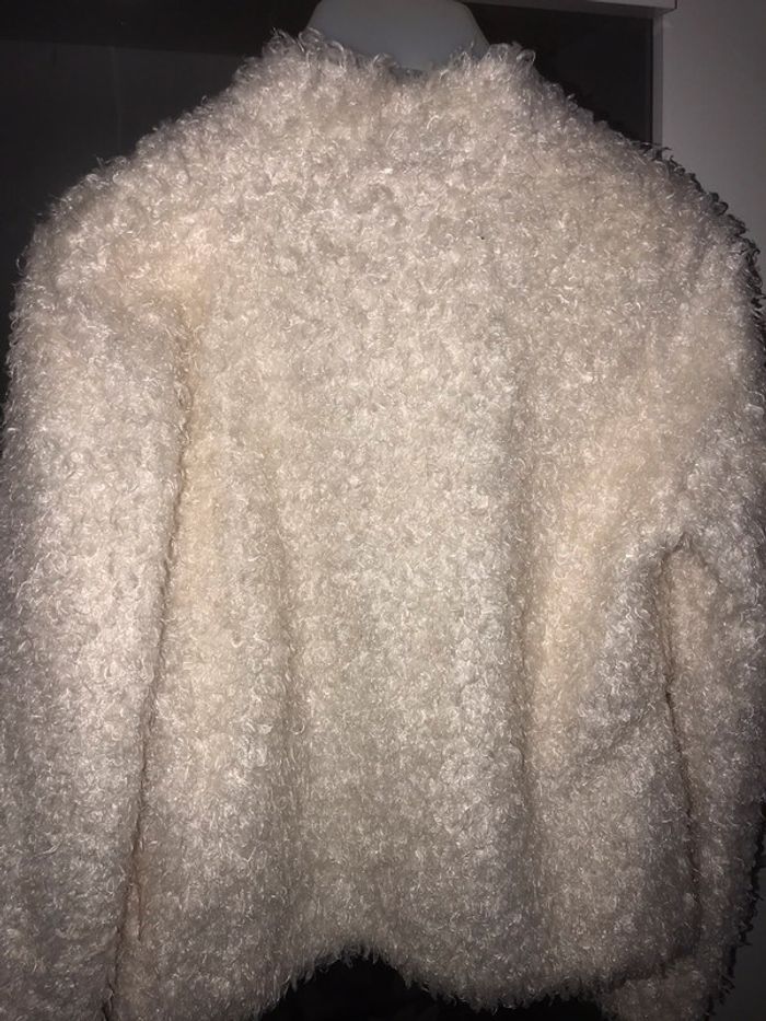 Veste - photo numéro 2