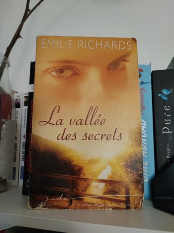 La Vallée des Secrets – Emilie Richards
