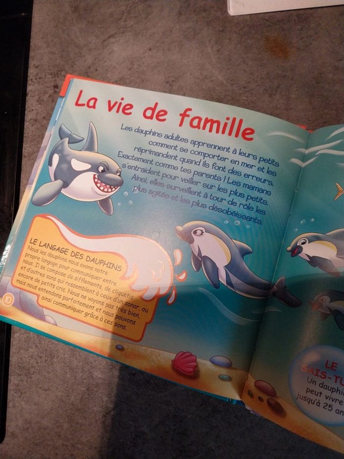 Les mammifères le dauphin - photo numéro 2