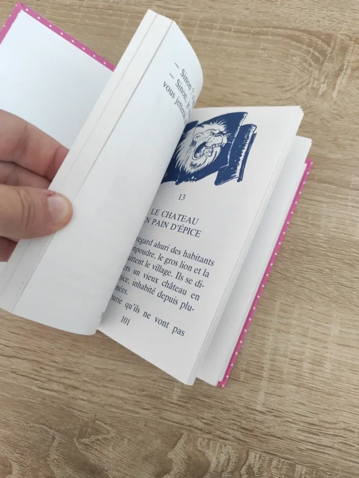 Livre le lapin en chocolat - photo numéro 4