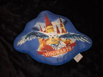 Coussin Harry Potter