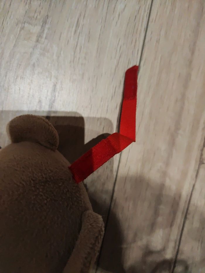 Petit Ourson musical - photo numéro 4