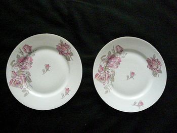 Lot de 2 assiettes en porcelaine