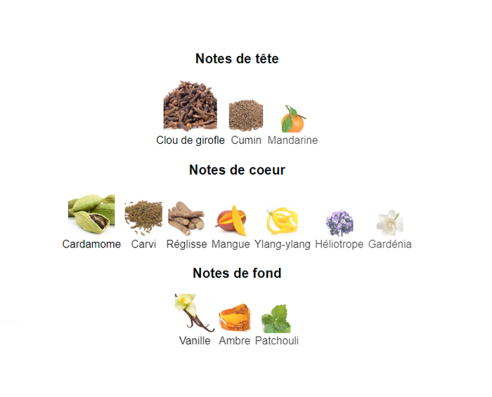 Extenzo Jeune " inspi Kenzo Jungle " Femme eau de parfum 100 ml - photo numéro 4