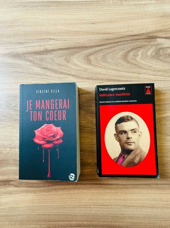 Lot de 2 livres Thriller / Roman Noir