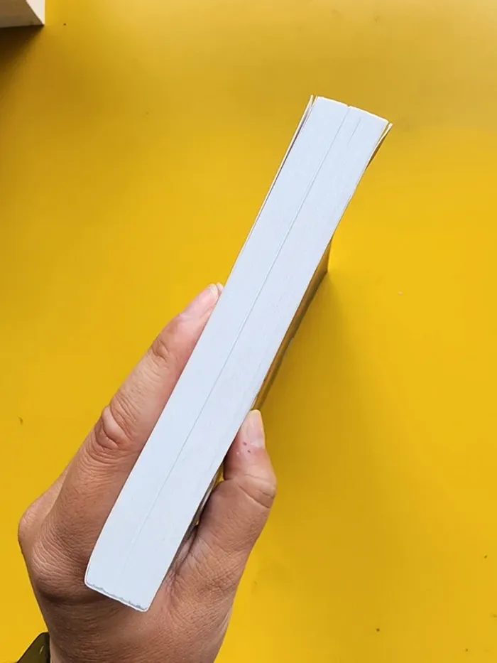 Livre broché "l'incendie du bazar de la charité" de Bruno Fuligni - photo numéro 4