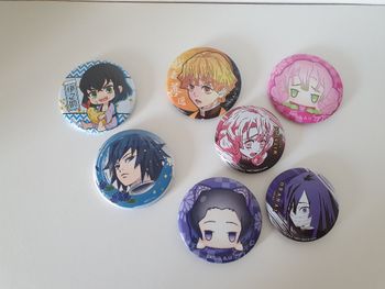 Lot de pin's / goodies demon slayer giyu zenitsu, kocho, mitsuri, Obanai, Tokito