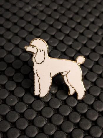 Pin's Caniche Royale 🐩 Belle qualité ,fermoire luxe