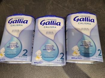 Lait Gallia 2ème âge