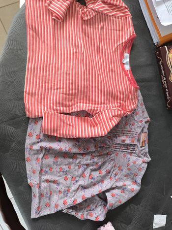 Lot de deux tee shirt manches longues 23 mois