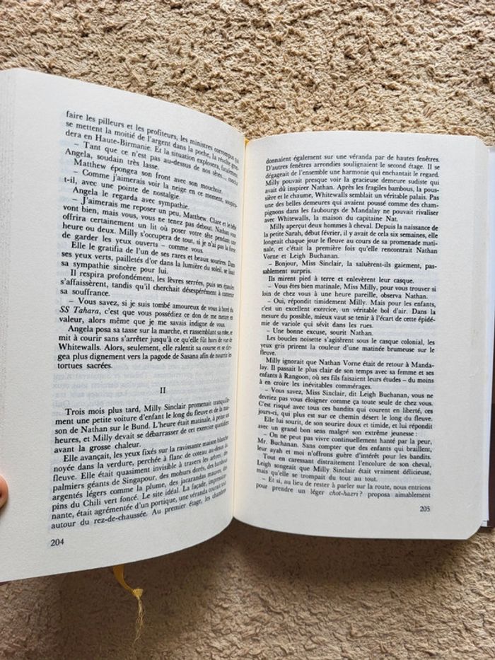 Livre relié "La dame de Mandalay" d'Alexandra Jones - photo numéro 6