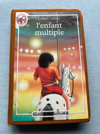 L’enfant multiple - Andrée chedid