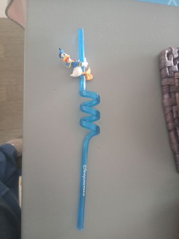 Paille Donald Disneyland Paris 