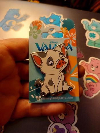 Pins Disney pua