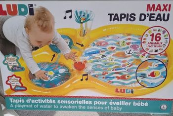 Maxi tapis d'eau