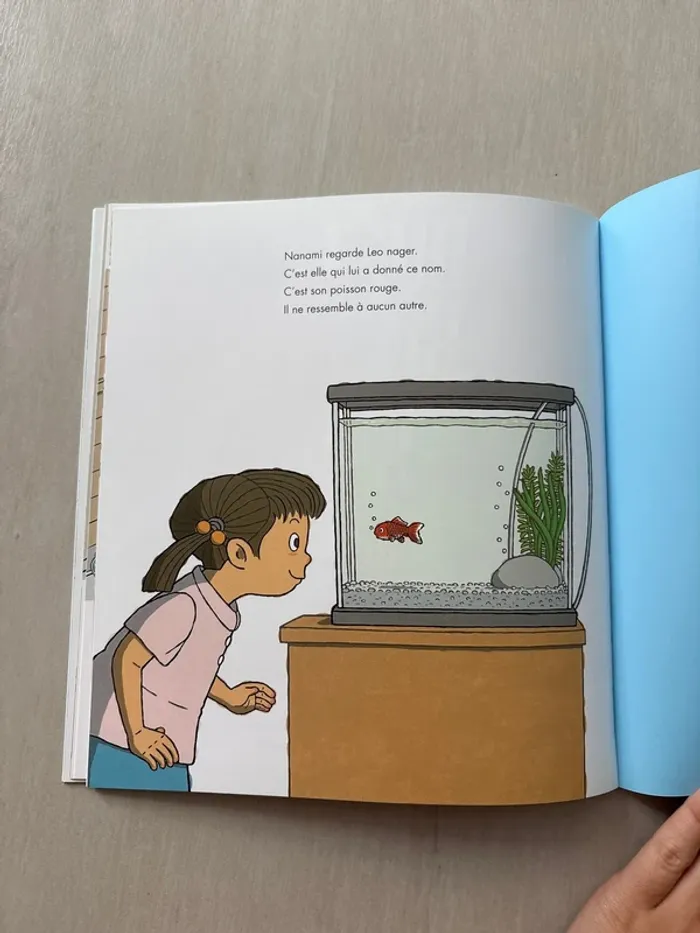 Le poisson rouge de Nanami - photo numéro 5