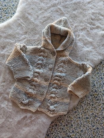 Gilet à capuche en laine