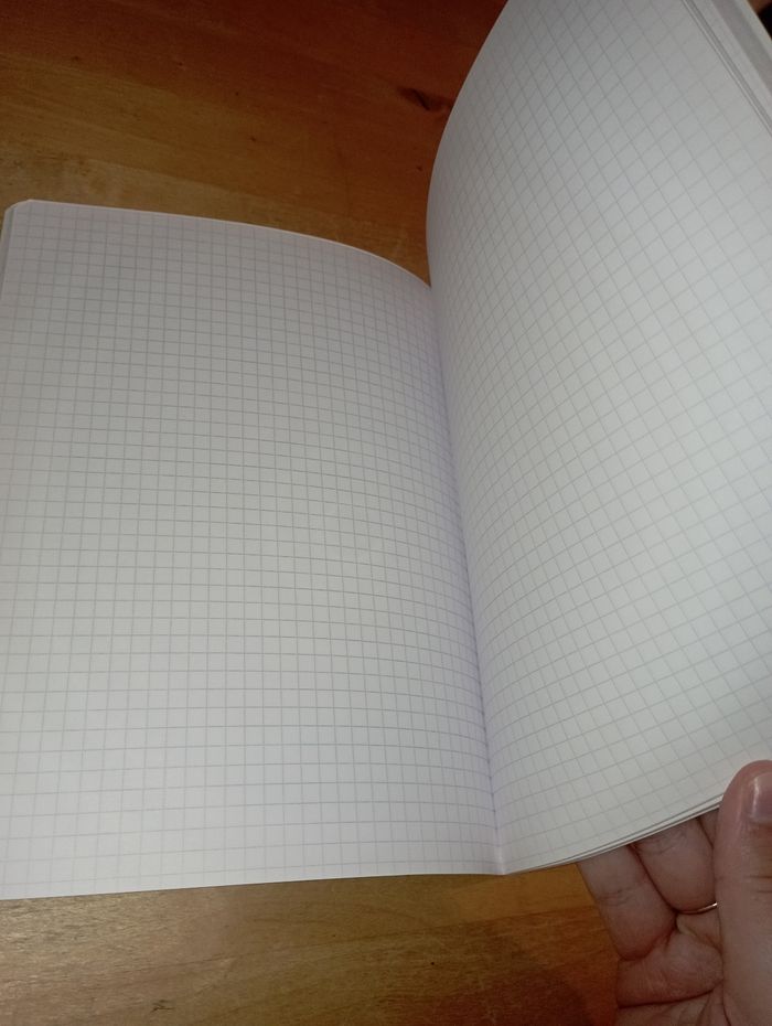 Cahier petit carreaux - photo numéro 3