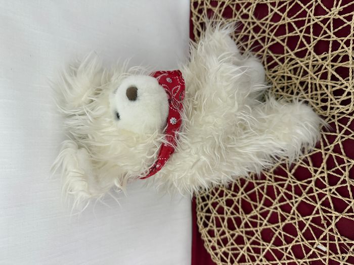 young peopple's shop doudou chien terrier - photo numéro 2