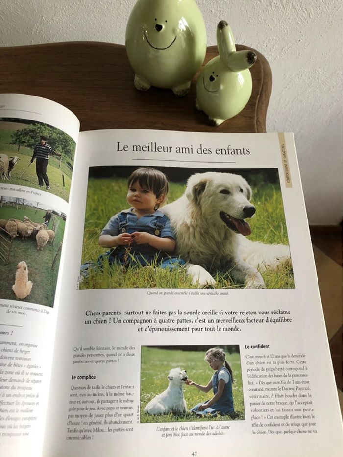 Livre les chiens - photo numéro 4